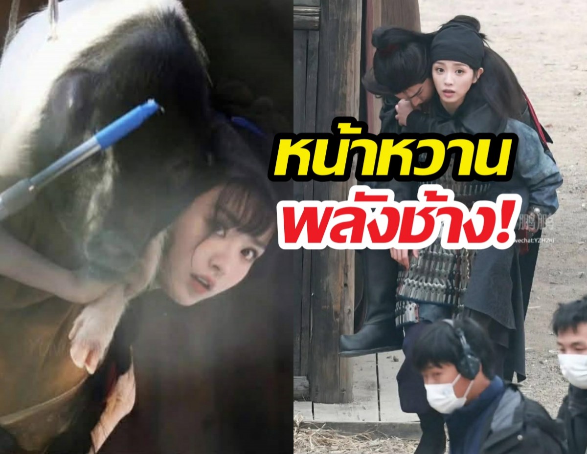 หน้าหวานพลังช้าง! นางเอกดังจีน แบกหมู 40 โลฯ วิ่งปลิว