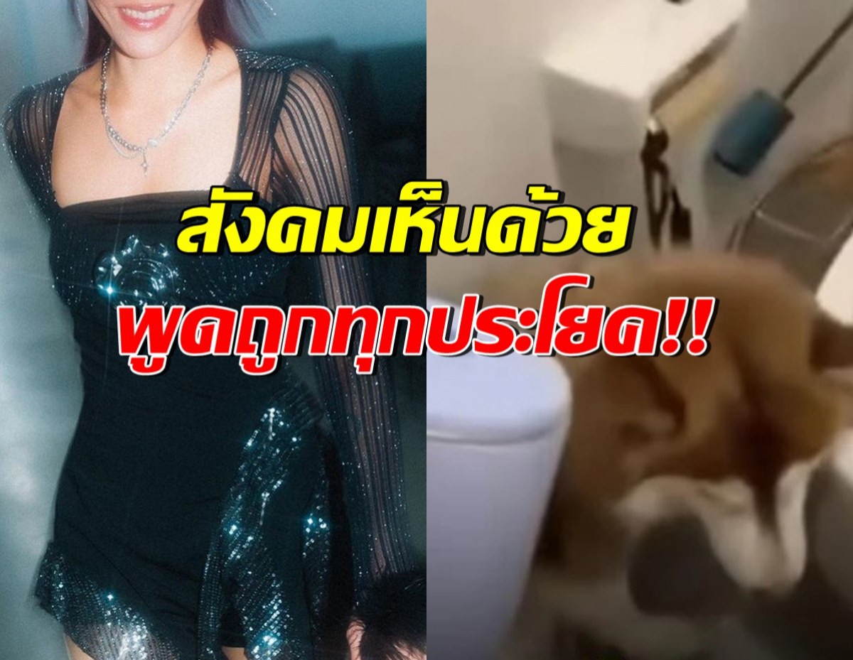 แห่กดไลค์โพสต์ นักร้องสาวดัง ลั่นถึงข่าว เจ้าของเทน้ำร้อนใส่หมา