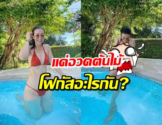 ‘เอมี่-ซี’ โพสต์ภาพอวดต้นไม้ บอกวิวดี-แต่ทำใจหวิวทั้งไอจี! 