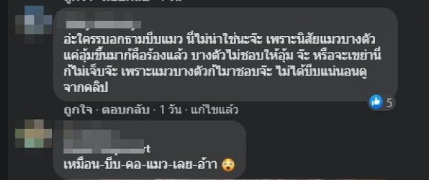 งานเข้า! ‘ธามไท’ อุ้มแมวช่วยง้อ ถูกมองว่าบีบ-หยิกจนแมวร้อง (คลิป)