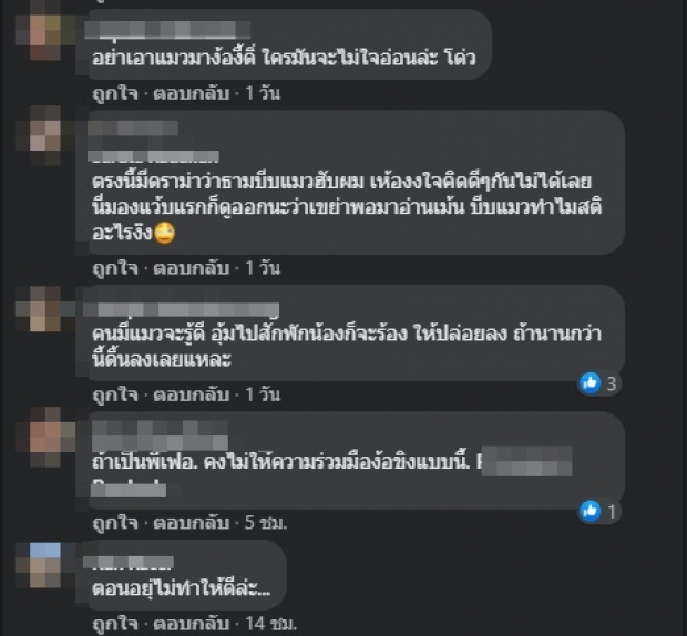 งานเข้า! ‘ธามไท’ อุ้มแมวช่วยง้อ ถูกมองว่าบีบ-หยิกจนแมวร้อง (คลิป)