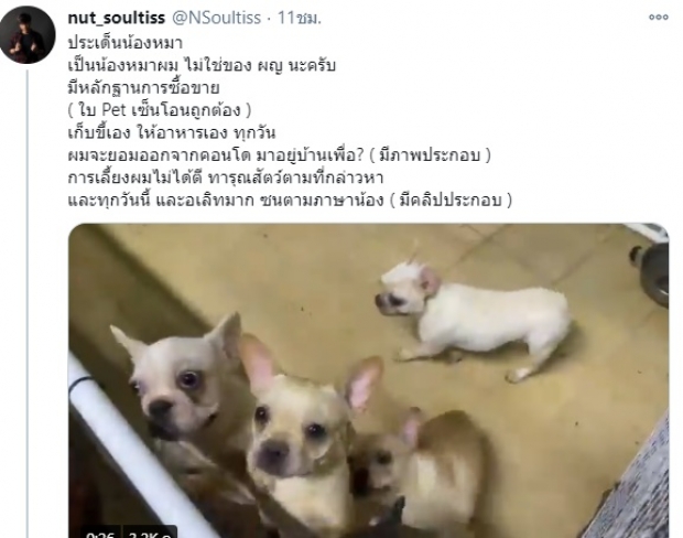 นัท โซลติส แจงอีกด้าน! หลังถูกอ้างทำร้ายแฟน-น้องหมา 4 ตัว