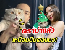 งานเข้า! ‘ธามไท’ อุ้มแมวช่วยง้อ ถูกมองว่าบีบ-หยิกจนแมวร้อง (คลิป)