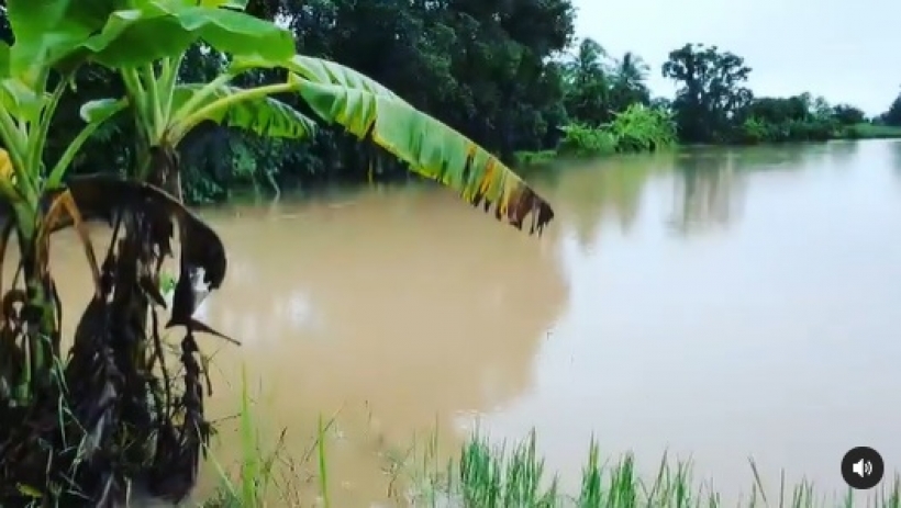 สุนารี น้ำตาตก เปิดคลิปน้ำท่วมอ่วม80ไร่-จบสิ้นทุกอย่าง