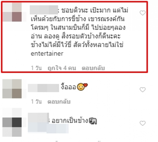 จวกยับ! “ดิว อริสรา” สวมบิกินี่ขี่ช้าง ทั้งที่รณรงค์เลิกขี่ช้าง-ลดทารุณสัตว์