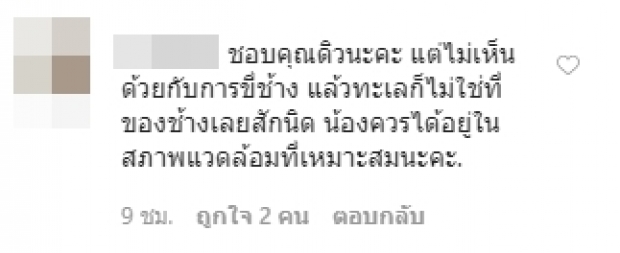 จวกยับ! “ดิว อริสรา” สวมบิกินี่ขี่ช้าง ทั้งที่รณรงค์เลิกขี่ช้าง-ลดทารุณสัตว์