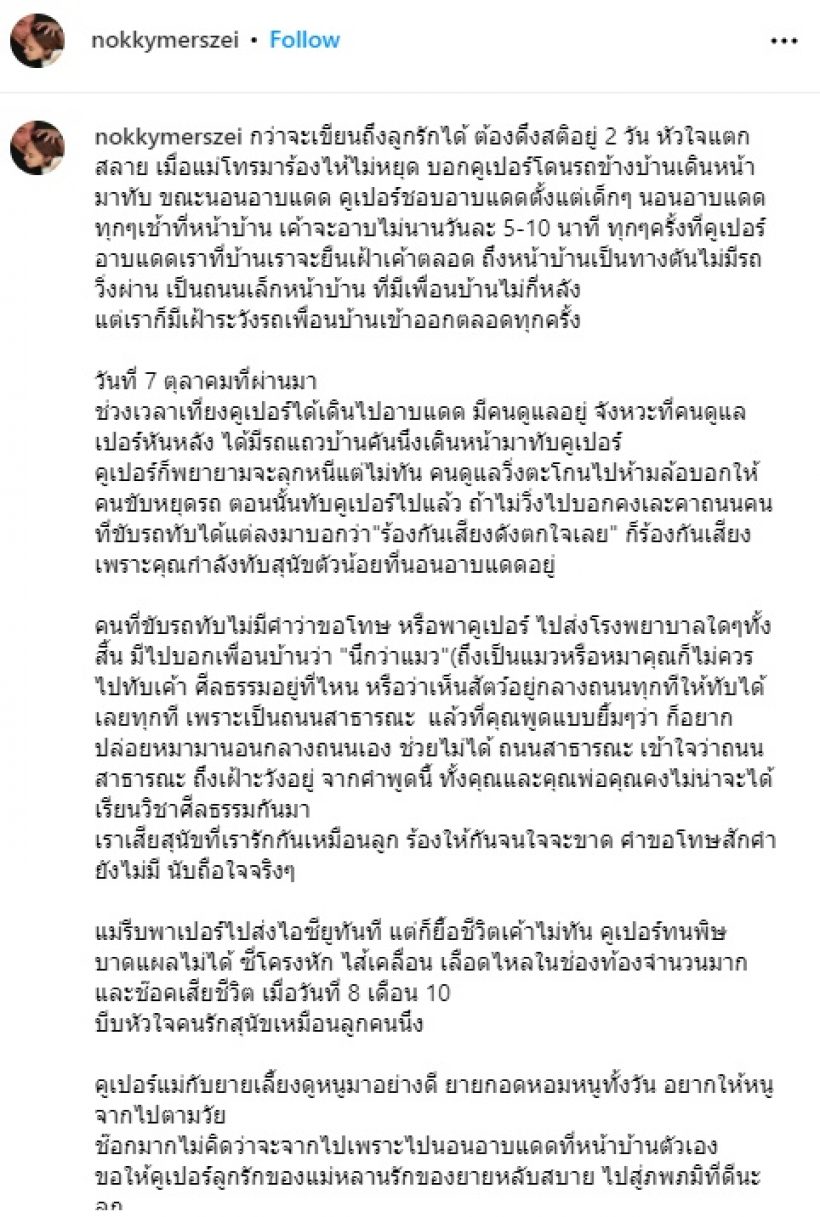 ดาราสาวชื่อดัง ใจแตกสลาย! ลูกรักโดนคนขับรถชน ไร้คำขอโทษ