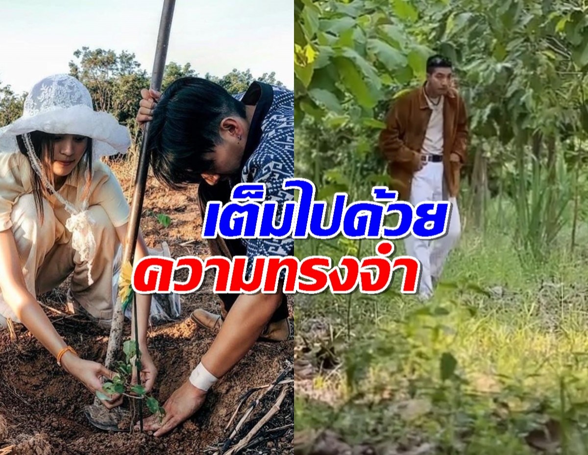 ชาวเน็ตจี้ถามป่าผืนนี้มั้ยที่โตโน่ณิชา เคยช่วยกันปลูก?