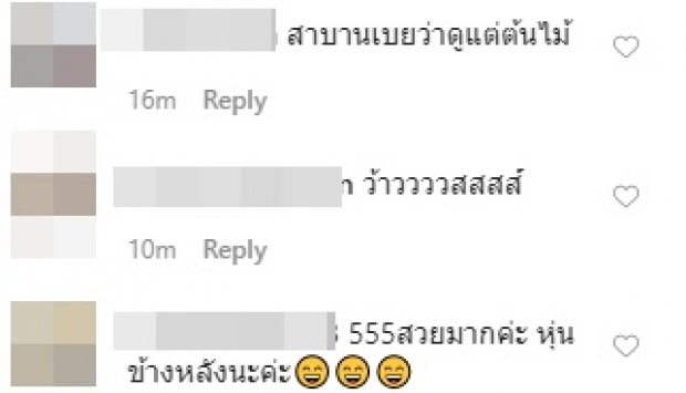 งานซูมต้องมา! ‘จ๊ะ อาร์สยาม’ บอกรักต้นไม้ แต่โฟกัสผิดจุด