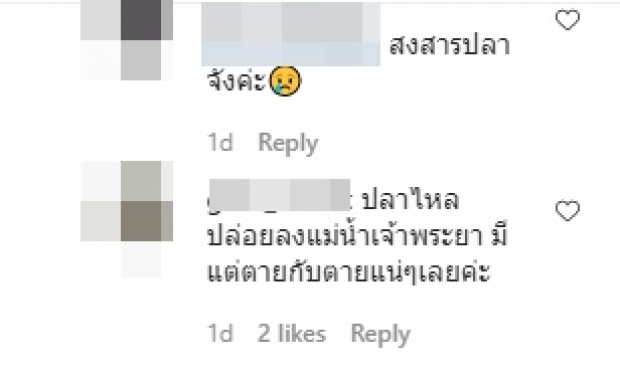 จนได้! ศรีริต้า-กรณ์ ทำบุญ แต่โดนดราม่าแบบนี้..ได้บาปแทน