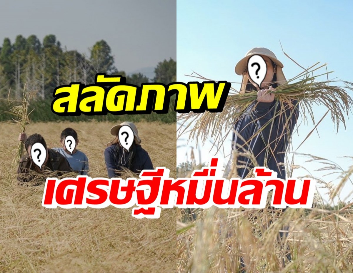 สามี-ภรรยารวยหมื่นล้าน แต่ชีวิตติดดินพาลูกชายลงนาเกี่ยวข้าว