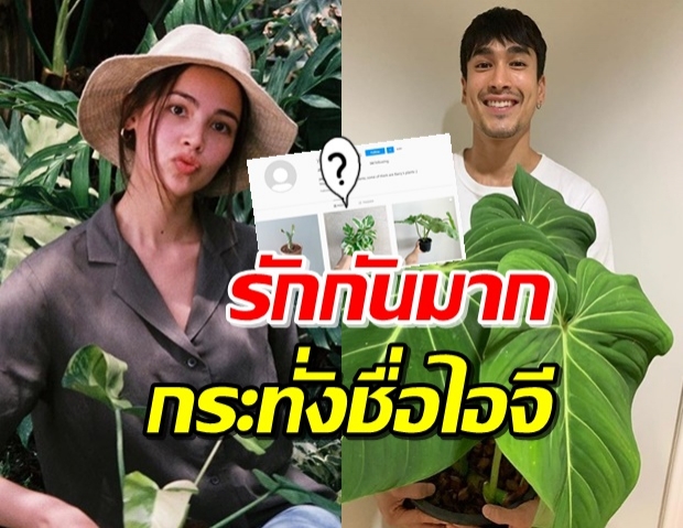 ‘ญาญ่า’ เปลี่ยนชื่อไอจีต้นไม้ ให้เป็นของเราทั้ง2คน