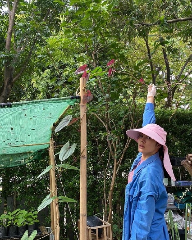 ทึ่ง! ‘ตั๊ก บงกช’ โชว์สภาพมือตอนนี้ หลังลุยทำสวนเต็มที่