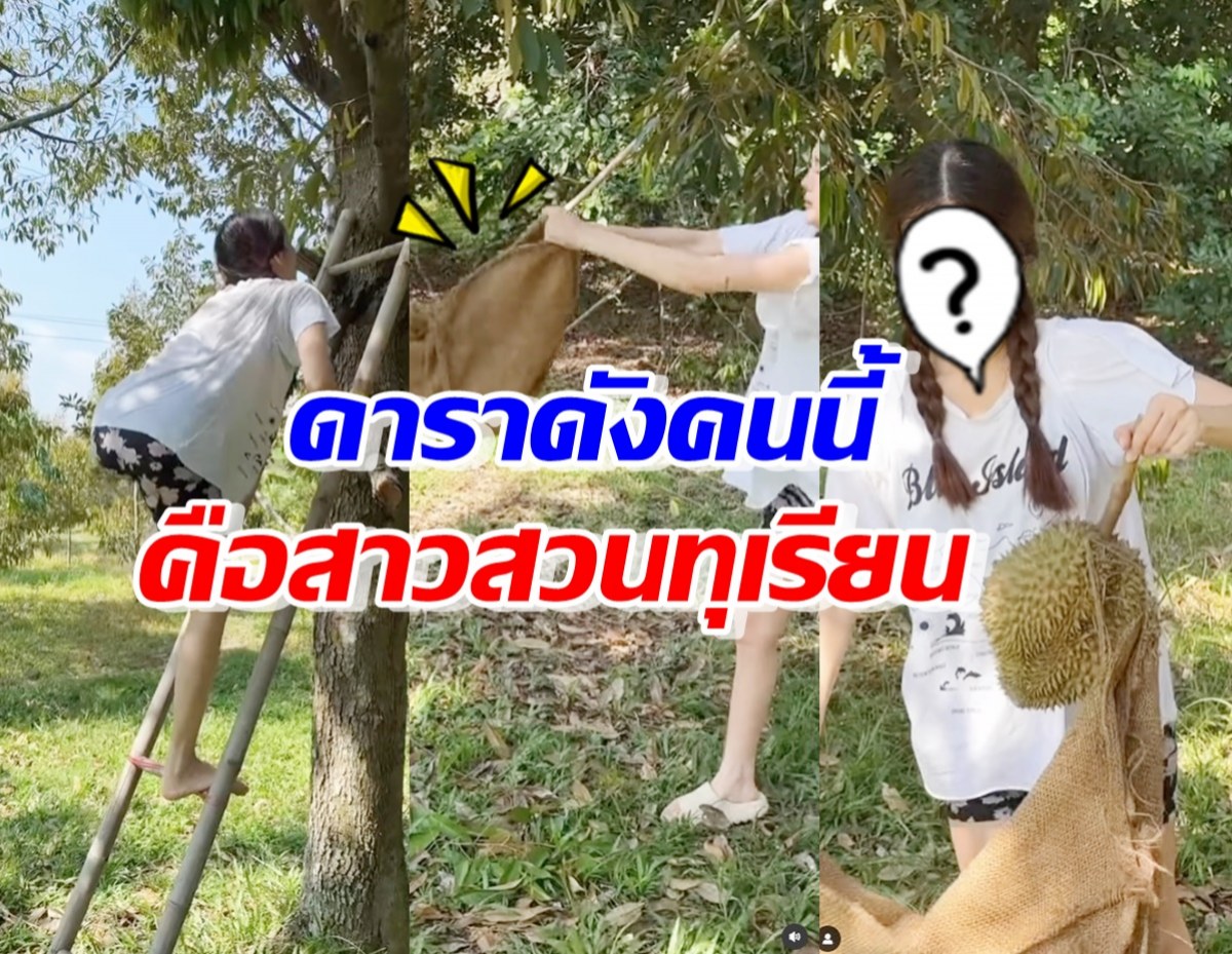 เก่งเวอร์! สาวไซซ์มินิ ทั้งปีน-เก็บ-ปอกทุเรียน ที่แท้เธอคือดาราดังคนนี้