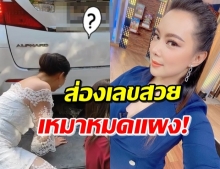 ส่องตาแตก! ‘บุ๋ม ปนัดดา’ เผยลุคทาสแมว แต่แฟนๆทักเลขทะเบียน