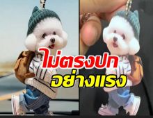 รีวิวสินค้า TEMU ไม่ตรงปกอย่างแรง