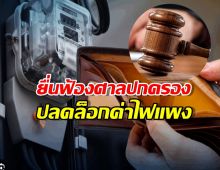 สภาผู้บริโภคชนแหลก ฟ้องศาลปกครองเพิกถอนค่าไฟส่วนเกิน
