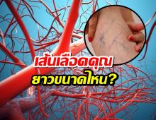 รู้มั้ย?เส้นเลือดในร่างกายคุณ ยาวขนาดไหน?