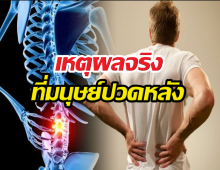 ความลับสายดาร์ก! ทำไมมนุษย์ปวดหลัง เราโดนธรรมชาติทรยศ!