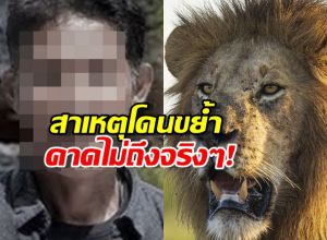 รู้แล้ว ทำไมเจ้าหน้าที่ผู้เชี่ยวชาญกว่า 30 ปี ถึงถูกสิงโตรุมขย้ำ!