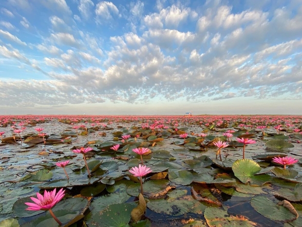 มิซูฮาระ กิโกะ สวมมาด สาวบัวแดง นั่งเรือสุดชิว เที่ยวอุดรธานี