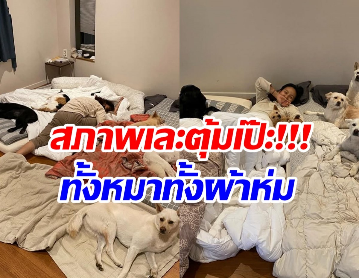 ชาวเน็ตอึ้งสภาพ วิจารณ์ยับเป็นถึงคนดังเเต่ห้องเละมาก!