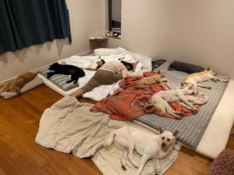 ชาวเน็ตอึ้งสภาพ วิจารณ์ยับเป็นถึงคนดังเเต่ห้องเละมาก!