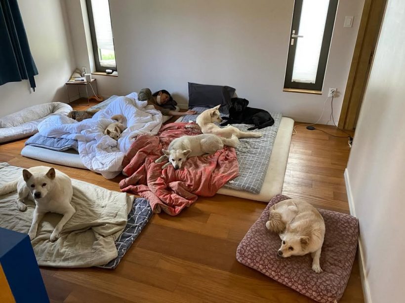 ชาวเน็ตอึ้งสภาพ วิจารณ์ยับเป็นถึงคนดังเเต่ห้องเละมาก!