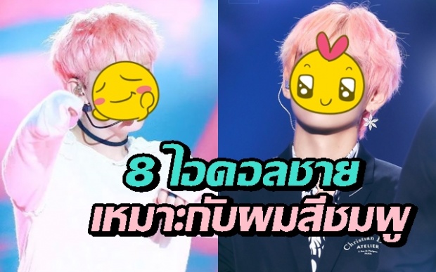 เผยผลสำรวจ 8 ไอดอลชายที่ถูกโหวตว่าเหมาะกับลุคผมสีชมพูที่สุด 