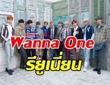 คอนเฟิร์มแล้ว! Wanna One รียูเนี่ยนรวมตัวอีกครั้ง หลังยุบวง