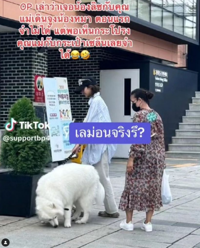 รู้แล้วใครหิ้วตำมะม่วงไปฝากลิซ่าถึงเกาหลี งานนี้ขาดตลาดแน่นอน