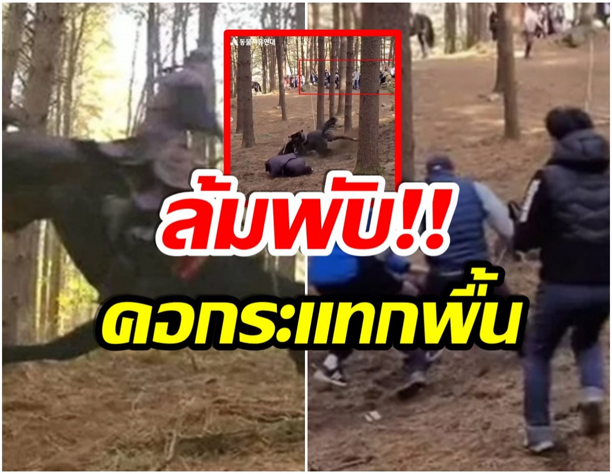 ดราม่าเดือด! กองถ่ายซีรีส์ดัง ทารุณม้าเข้าฉากจนเสียชีวิต?