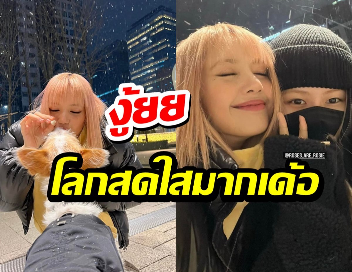 น่ารักคูณสอง ลิซ่า-โรเซ่ กับโมเมนต์ชวนกันซนเล่นหิมะน่าเอ็นดูวววว