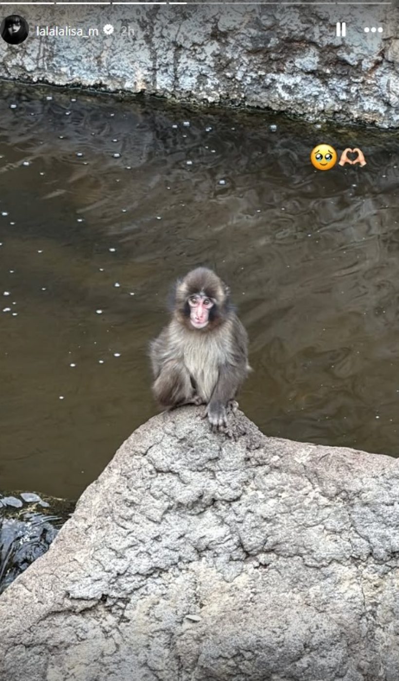 ไวรัลคูณสอง! ลิซ่า ไปหาน้อง พันซ์คุง พร้อมตุ๊กตาลิงตัวโปรด