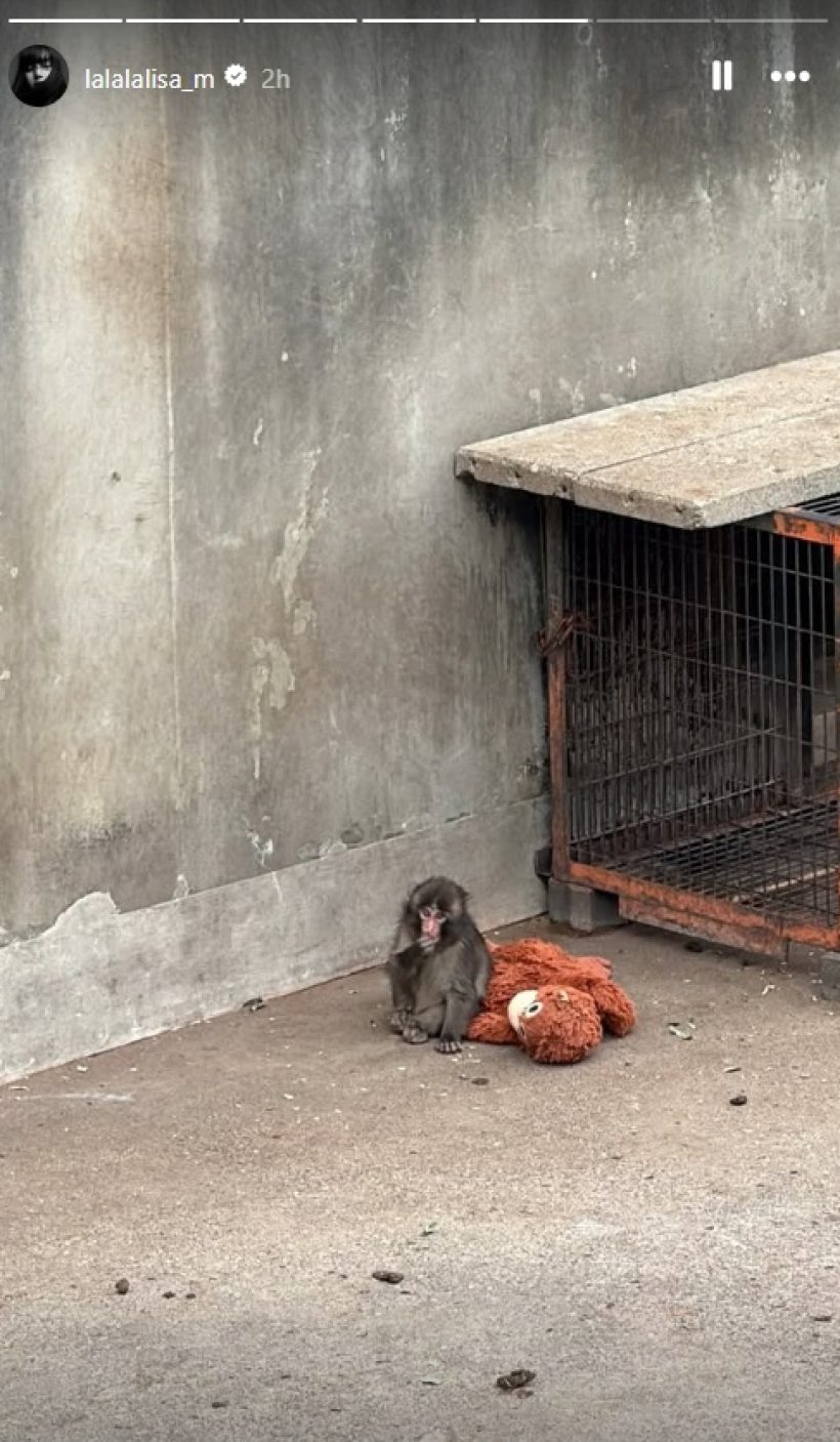 ไวรัลคูณสอง! ลิซ่า ไปหาน้อง พันซ์คุง พร้อมตุ๊กตาลิงตัวโปรด