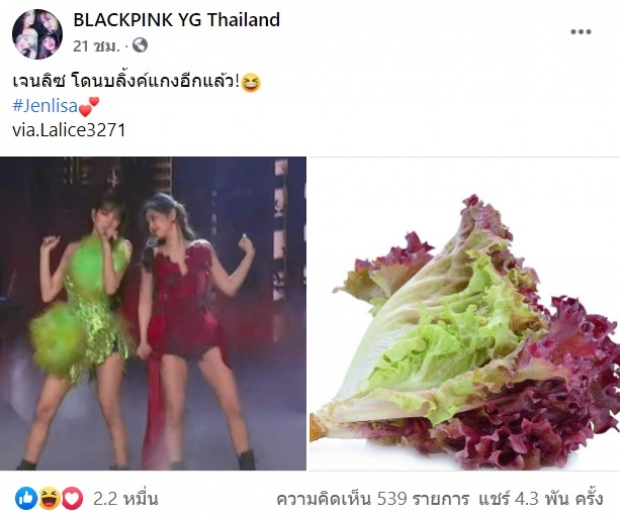 ชุดของ ลิซ่า-เจนนี่ ทำเเฟนๆถึงกับเเซว ทำไมเหมือนผักชนิดนี้ 