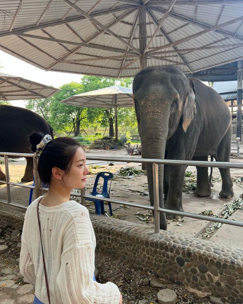 ดาราดาวรุ่งบินเงียบเที่ยวไทย แต่งตัวสุดชิลหน้าสดยังสวยออร่าจับ