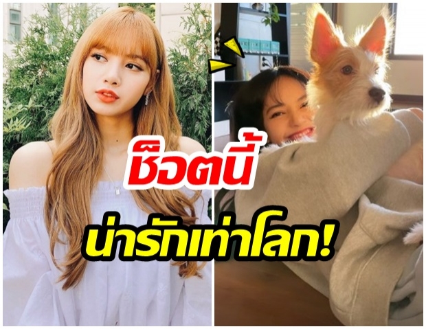 ส่องความน่ารักของ ลิซ่า กับ เจ้าเเฮงค์ สัตว์เลี้ยงตัวใหม่ของบ้าน blackpink