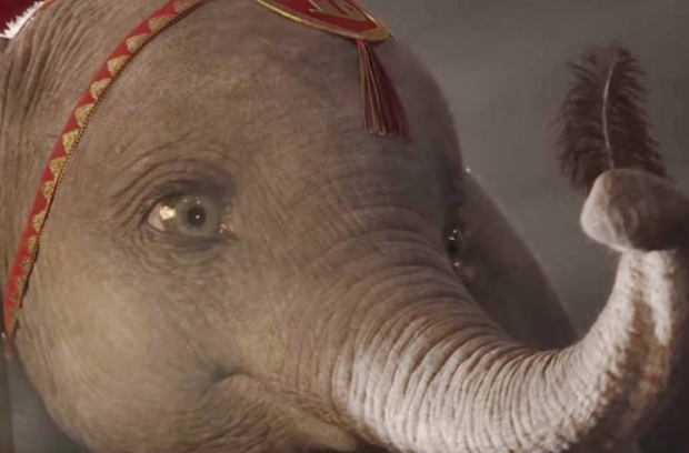 ดัมโบ้-DUMBO ปาฏิหาริย์จากช้างน้อย เรียนรู้และเติบโต ความประทับใจที่ผู้ใหญ่ควรดู