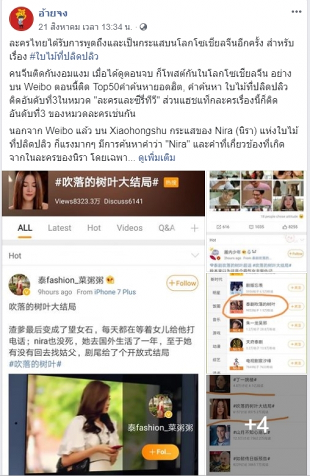 นิราไม่ได้ปังแค่ไทย!แต่ลามไกลถึงจีน ใบไม้ที่ปลิดปลิว พุ่งติดเทรนด์ละครฮิตแดนมังกร