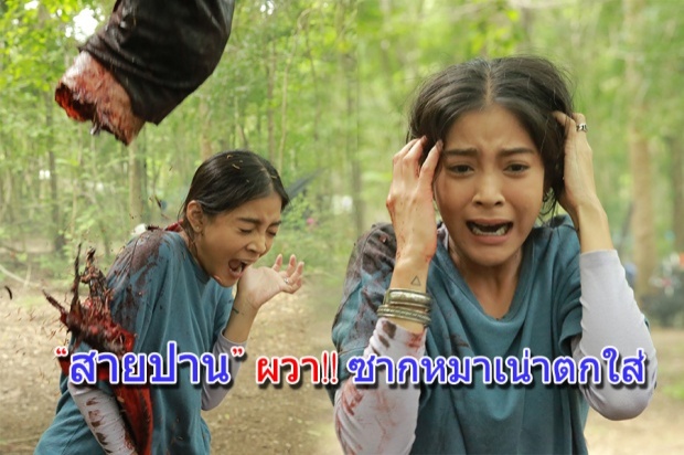 “สายป่าน” ผวา!! ซากหมาเน่าตกใส่  สุดสะเอียน โดนหนอนไต่ตัวยั้วเยี๊ย