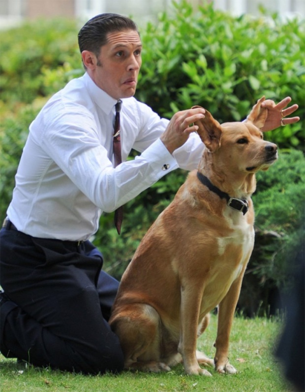 ผู้ชายรักสัตว์!!! “ทอม ฮาร์ดี้” กับลูกสุนัขที่ใครเห็นเป็นต้องละลาย