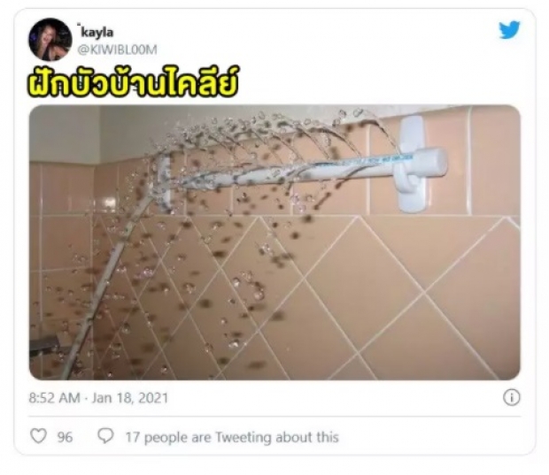 ไคลีย์ ถูกชาวเน็ตเเซวเเรง หลังเห็นภาพห้องน้ำในบ้านสุดหรู 