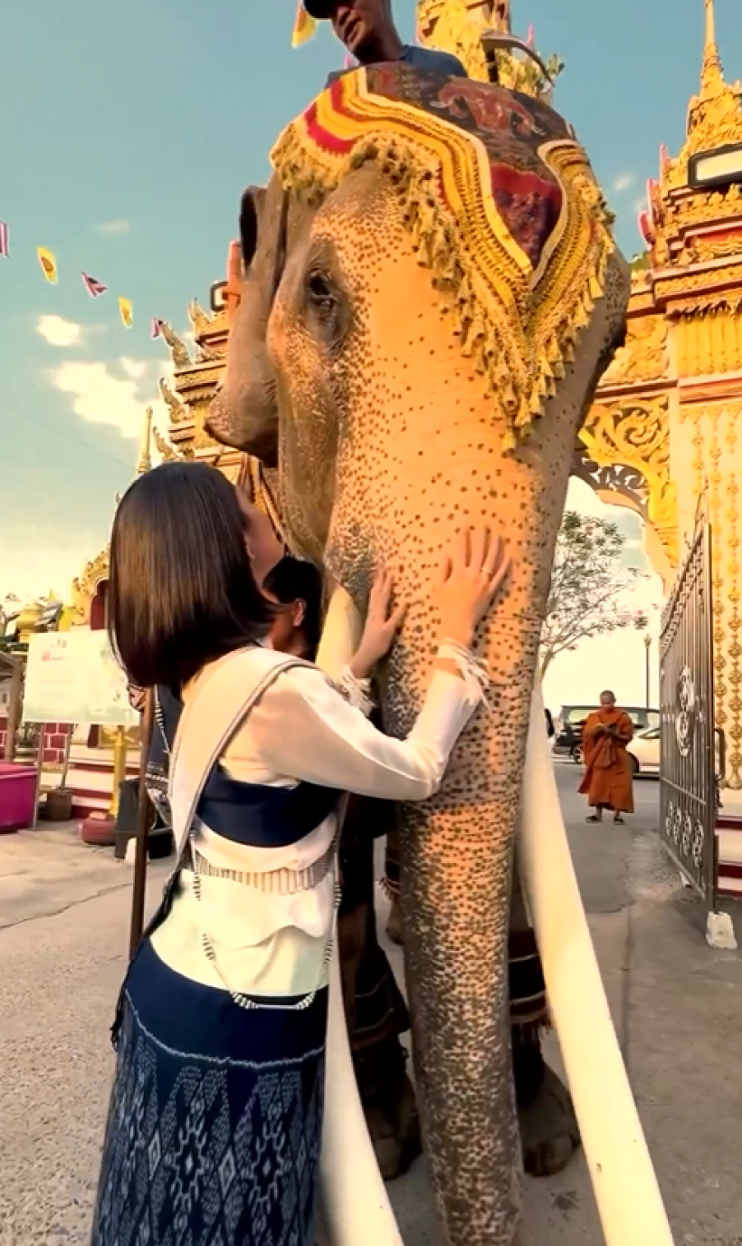 ภาพสุดไวรัล เซย์นิสMU2023 ไหว้ช้างไทยวัย52ปีด้วยความเคารพ