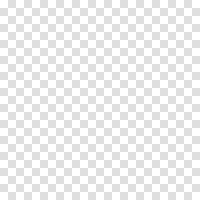 เปิดภาพวันวิวาห์ MrBeast จัดยิ่งใหญ่ 7 วัน 7 คืน!