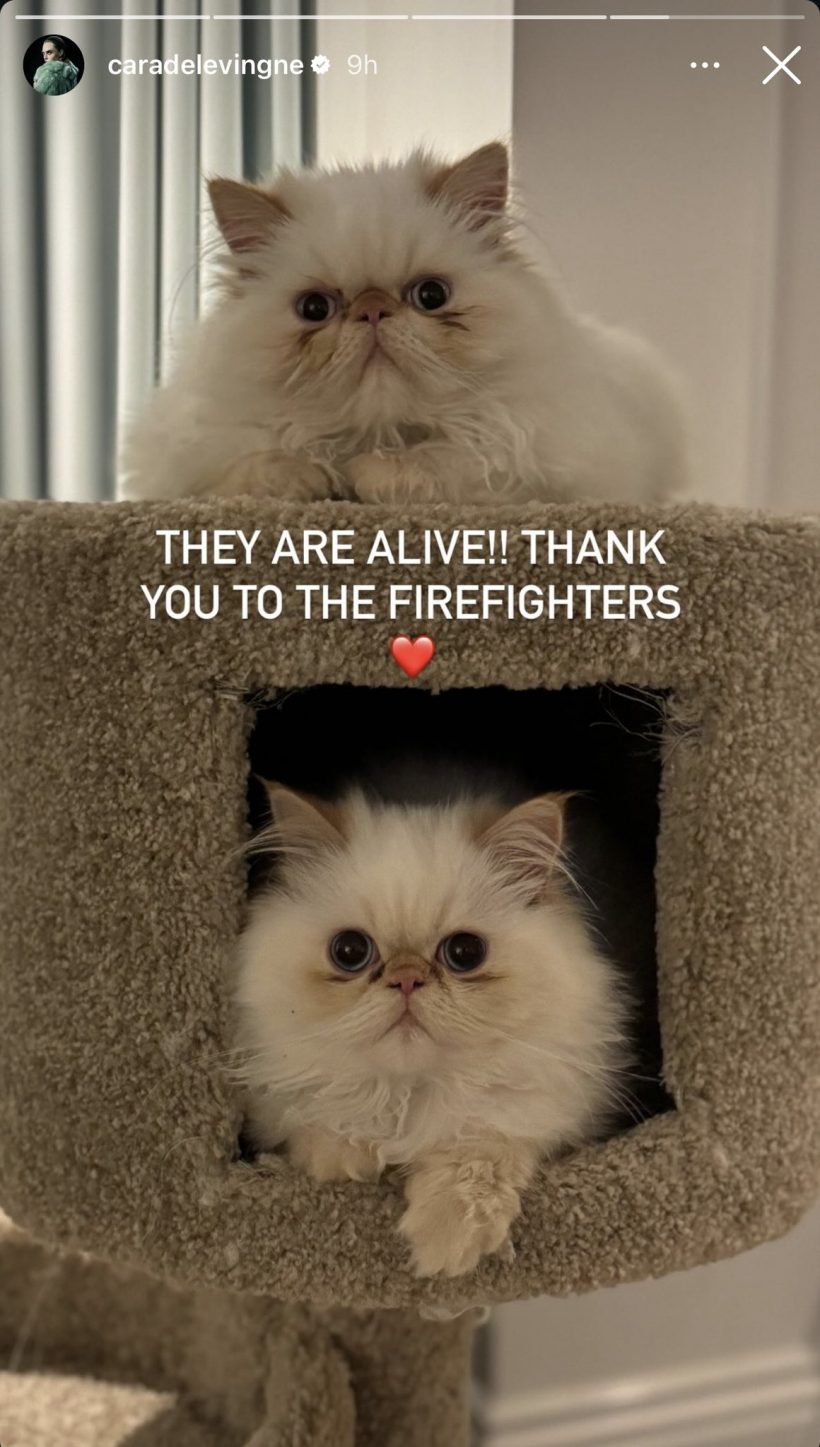 ซุปตาร์สาวใจสลายไฟไหม้บ้านทั้งหลัง โชคดีน้องแมวสุดรักปลอดภัย