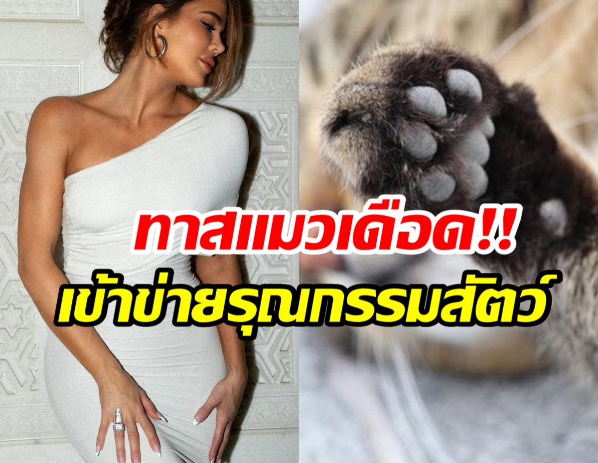 ความผิดพลาดครั้งใหญ่!! ซุปตาร์สาวยอมรับ เคยถอดเล็บเเมว