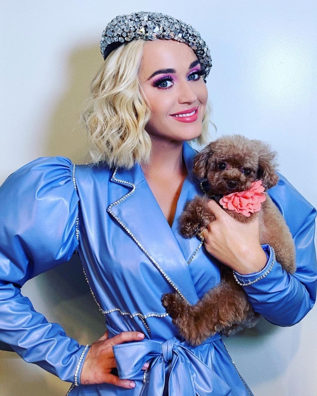 Katy Perry  ประกาศข่าวดีตั้งครรภ์ลูกคนแรกผ่าน MV เพลงใหม่ล่าสุด 