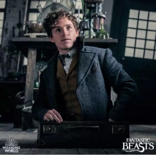 ‘Fantastic Beasts 3’ หยุดถ่ายทำหลังพบทีมงานติดโควิด-19