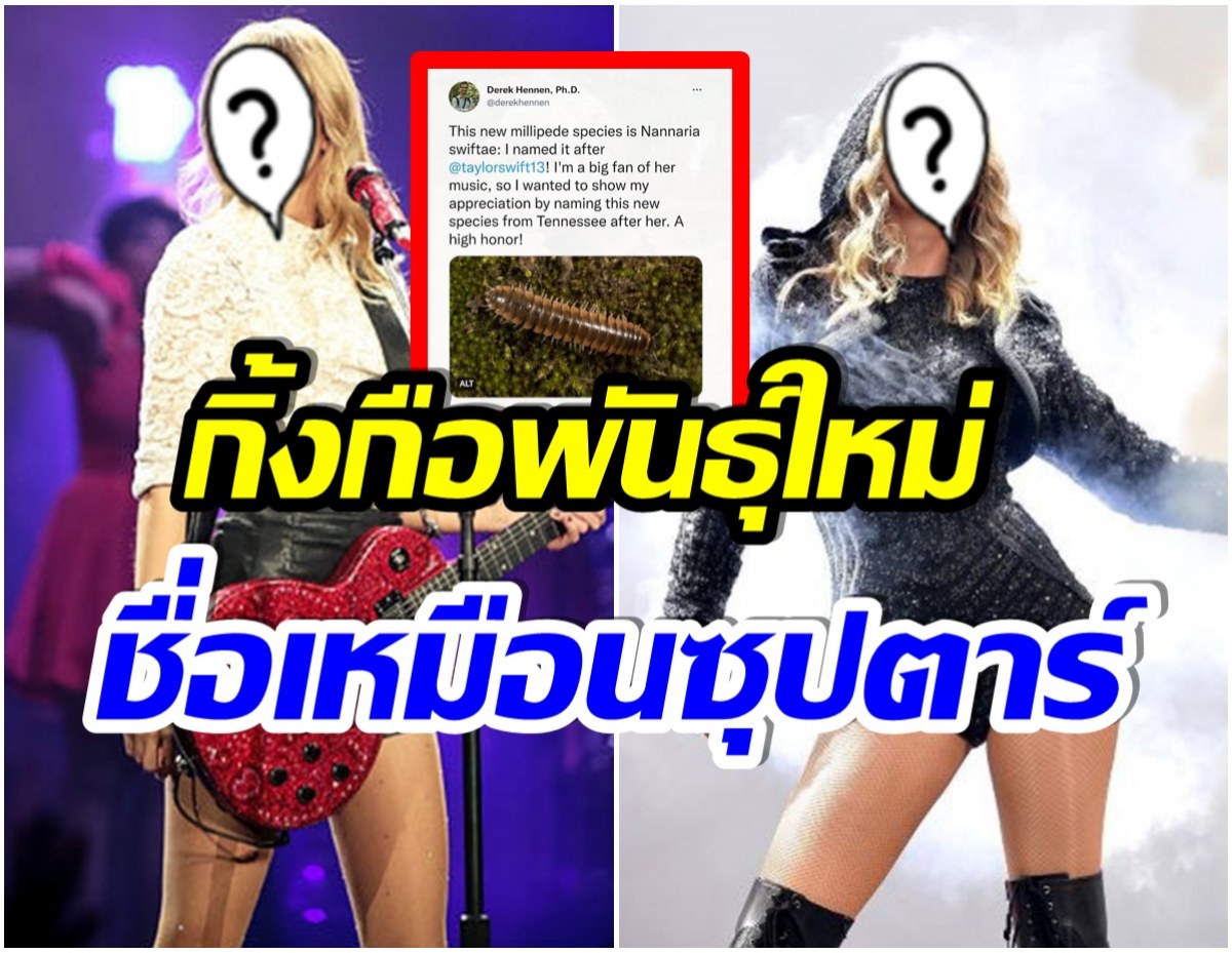 อื้อหือ! นักร้องสาวคนนี้ ถูกนำชื่อไปตั้งเป็นชื่อ ‘กิ้งกือ’ สายพันธุ์ใหม่